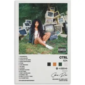 ALAYRA Ctrl Album Cover Canvas Posters for Room Aesthetic Gift Unframe12x18inch(30x45cm) 01