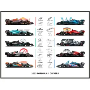 ALAYRA 2023 Teams Formula 1 Poster Wall Art - Limited Edition F1 Car Racing Car Decor - 12x16 Best Gifts For F1 Fans, SPort Car Wall Art Prints - Living Room Or Office Decorations UNFRAMED 01