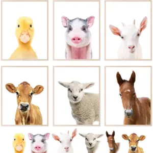 ALAYRA Baby Animal Prints for Nursery, Wall Art Poster, Baby Animal Nursery Decor - (8x10 Unframed) 01