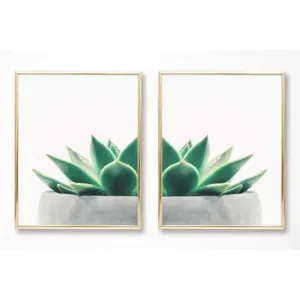 ALAYRA Botanical Prints Wall Art - (UNFRAMED 8 x 10) Boho Decor, Bohemian Living Room Bedroom Bathroom Entry Way Office (Brilliant Green Succulent) 01