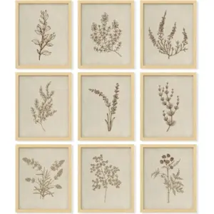 ALAYRA Botanical Wall Art - Vintage Botanical Prints, Plant Art Wall Decor, Neutral Floral Wall Art Pictures, Beige Flower Poster Paintings, Flower Sketch Drawing for Bedroom (8x10 UNFRAMED) 01