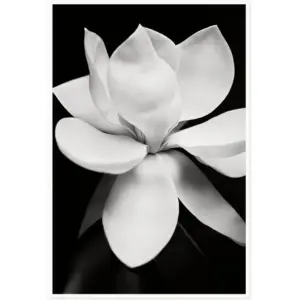 ALAYRA Canvas Prints Wall Art For Home and Office Wall Decoration Black And White Blooming Floral Canvas Artwork Print Painting Picture Flower Modern Abstract Unframe Wall Art 20x30inch 01