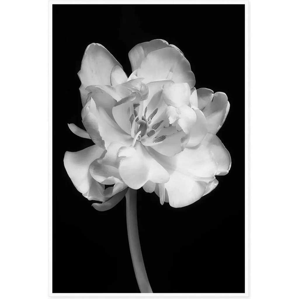 ALAYRA Canvas Prints Wall Art For Home and Office Wall Decoration Black And White Flower Canvas Artwork Print Painting Picture Floral Modern Abstract Unframe Wall Art 40.6L x 3W cm 01