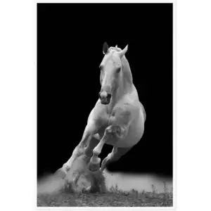 ALAYRA Canvas Prints Wall Art For Home and Office Wall Decoration Black And White Running Horse Canvas Artwork Print Painting Picture Animal Modern Abstract Unframe Wall Art for Living Room Bedroom Ki