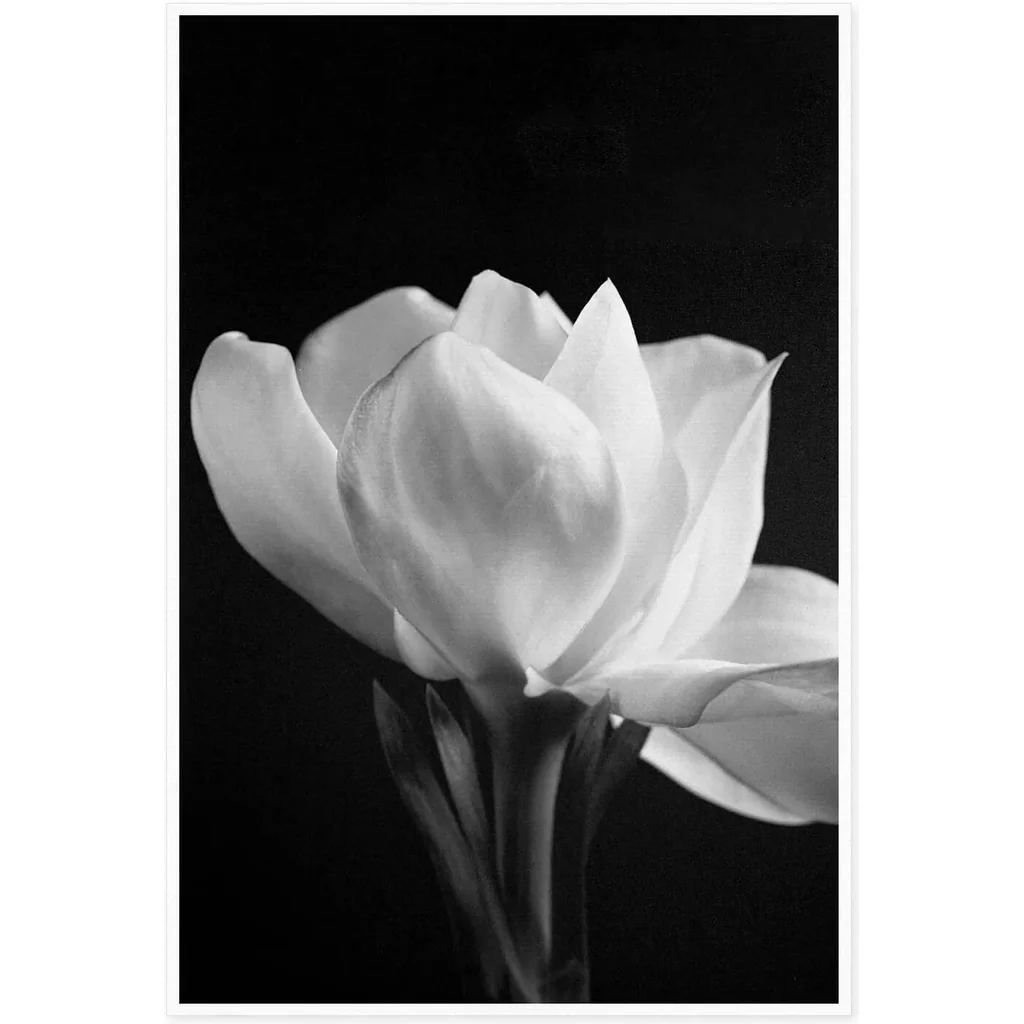ALAYRA Canvas Prints Wall Art For Home and Office Wall Decoration Blooming Flower Canvas Artwork Print Painting Picture Black And White Floral Modern Abstract Unframe Wall Art 20L" x 1.2W" 01