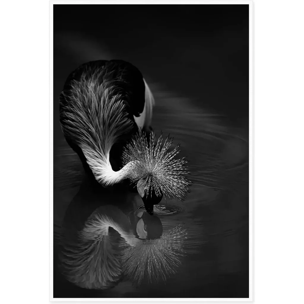 ALAYRA Canvas Prints Wall Art For Home and Office Wall Decoration Crowned Crane Drink Water Canvas Artwork Print Painting Picture Black And White Bird Crowned Crane Drinking Water 30.5L x 3W cm 01