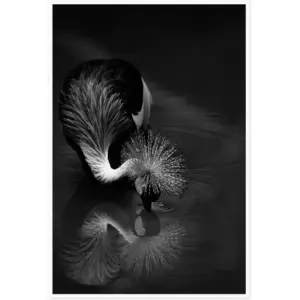 ALAYRA Canvas Prints Wall Art For Home and Office Wall Decoration Crowned Crane Drink Water Canvas Artwork Print Painting Picture Black And White Bird Modern Abstract Unframe Wall Art for Living Room