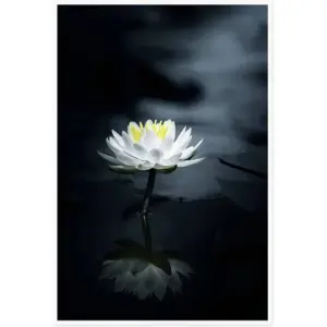 ALAYRA Canvas Prints Wall Art For Home and Office Wall Decoration White Lotus Reflection Canvas Artwork Print Painting Picture Flowers Modern Abstract Unframe Wall Art for Living Room Bedroom Kitchen