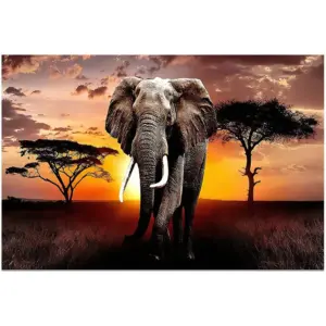 ALAYRA Canvas Wall Art Elephant Picture African Wild Animals Artwork Painting Print for Living Room Bedroom Kitchen Home and Office Wall Decor 01
