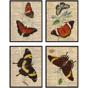 ALAYRA Dark Academia Room Decor Vintage Butterfly Wall Art - Set of 4 (8x10") Butterfly Print Dark Academia Wall Art Butterfly Prints, Butterfly Poster Butterfly Art, Vintage Butterfly Posters - Unfra