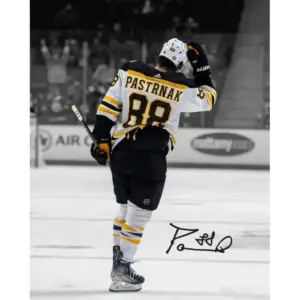 ALAYRA David Pastrnak Signed Photo Autograph Print Wall Art Home Decor 01