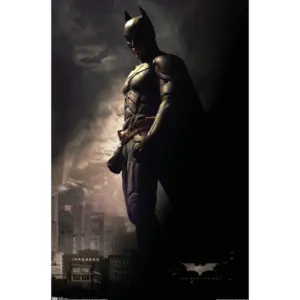 ALAYRA DC Comics Movie - The Dark Knight - Batman in the Shadows Wall Poster, 22.375" x 34", Premium Unframed Version 01