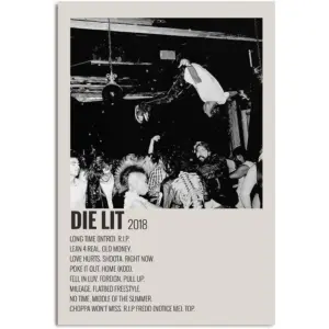 ALAYRA Die Lit Poster Carti Posters Album Aesthetics room decor 16x24 inch 40.6x60.9cm Unframe 01