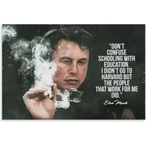 ALAYRA Elon Musk Quote Posters & Prints on Canvas Wall Art Poster for Room Decor Unframe 12x18inch(30x45cm) 01
