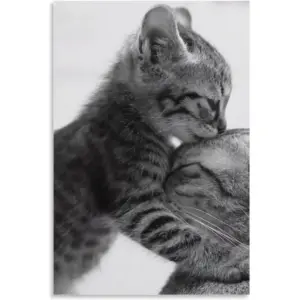 ALAYRA Family Cat Poster, Black & White Art Cat Decor, Animal Posters & Prints, Cute Art Wall Decor, Modern Home Wall Art Living Room Bedroom Kids Room Canvas Art Poster & Wall Art 12x18 Inch (Unframe