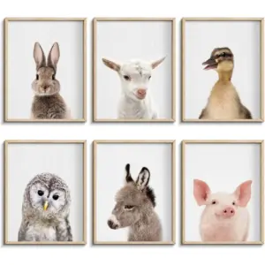 ALAYRA Farmhouse Baby Animal Posters and Prints, Cue Bunny, Duck Rabbit, Owl Prints, Nordic Picture Kids Room Decoration, Unframed Wall Art (YM342.8"x10"(20x25cm)) 01
