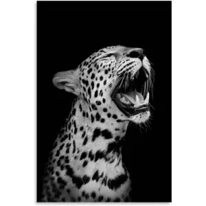 ALAYRA Funny Animal Poster, Vintage Black and White Cheetah Roaring Wall Decor, Wildlife Aesthetic Print Decorative Prints for Living Room Bedroom Bathroom Poster 16x24 Inch(Unframed) 01
