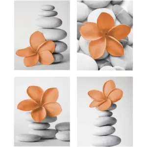 ALAYRA Genius Decor - Home Spa Stone Stack and Frangipani Flower Zen Pictures in Burnt Orange Gray Prints for Bedroom Bathroom Relax in Balance Zen Decor, Unframed set of 4 (Orange, 5"x7") 01