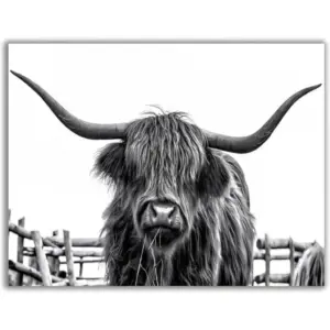ALAYRA Highland Cow Canvas Wall Art, Highland Cow Wall Art Canvas Printings, Black and White Animal Canvas Picture Framed Art Wall Decor, Rural farmhouse living room and bedroom decoration (16"x12" Un