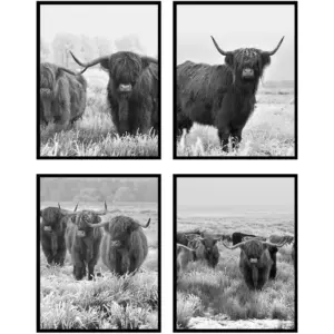 ALAYRA Highland Cow Pictures Wall Decor, Wall Art Poster, Highland Cow Picture - Unframed (8x10) 01