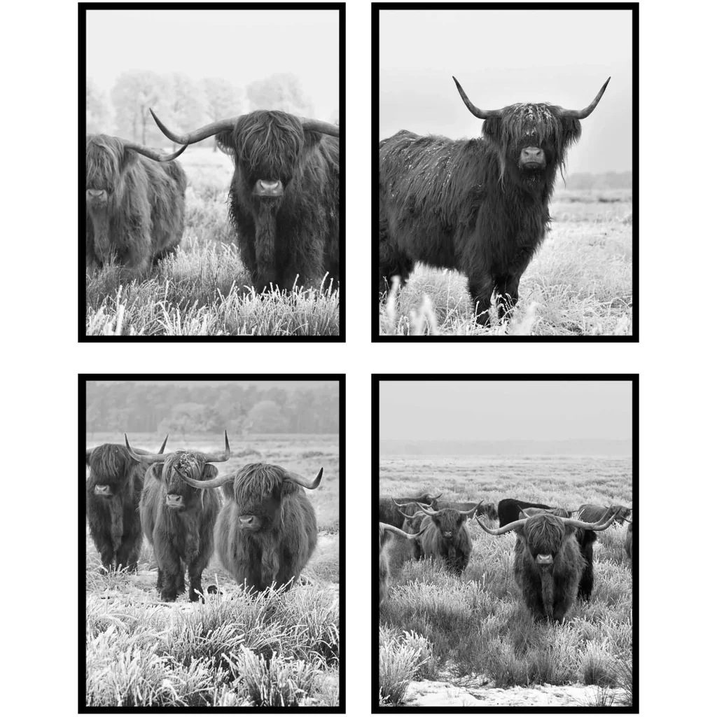 ALAYRA Highland Cow Pictures Wall Decor, Wall Art Poster, Highland Cow Picture - Unframed (8x10) 01