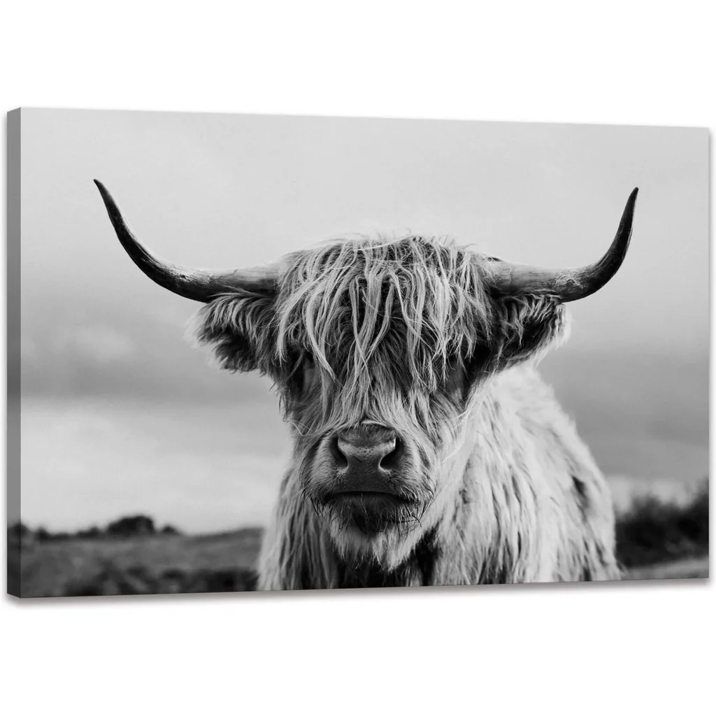 ALAYRA Highland Cow Wall Art Canvas Print Black and White Animal Canvas Picture Framed Art Wall Decor for Bedroom Bathroom (12x16 inch) 01