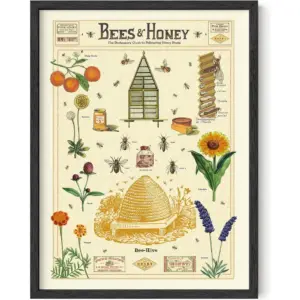 ALAYRA Honey Bee Decor Cavallini Poster - Bee Wall Decor Vintage Posters for Room Aesthetic Prints and Posters Vintage Prints and Plant Posters Follygraph Fleurs Vintage Poster UNFRAMED 12"x16" 01