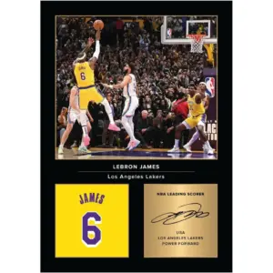 ALAYRA Lebron Ja Signed A4 Printed Photo Picture Display Gift For Basketball Fans Digitally Reproduced Signature Unframed 01