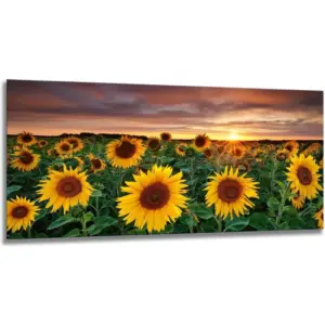 ALAYRA Lingula Large Size Sunflower Canvas Wall Art/Sunset Yellow Plant Landscape Wall Painting Poster Print on Canvas Modern Wall Pictures for Living Room Decoration 20x40 inch Unframed 01