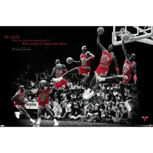 ALAYRA Michael Jordan - Fly Wall Poster, 22.375" x 34", Unframed Version 01