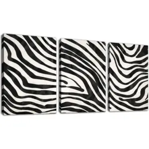 ALAYRA Minimalist Wall Art Black and White Abstract Canvas Pictures Striped Whirlpool Mid Century Modern Canvas Painting for Living Room Bedroom Bathroom Office Home Wall Decor 12"X16"X3 01