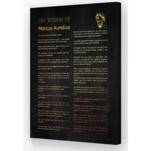 ALAYRA Neteydey Marcus Aurelius Poster Canvas Framed Inspirational Pictures Wall Art Retro Prints Marcus Aurelius Quotes Wall Art Painting for Living Room Decor (12x18in, Framed) 01
