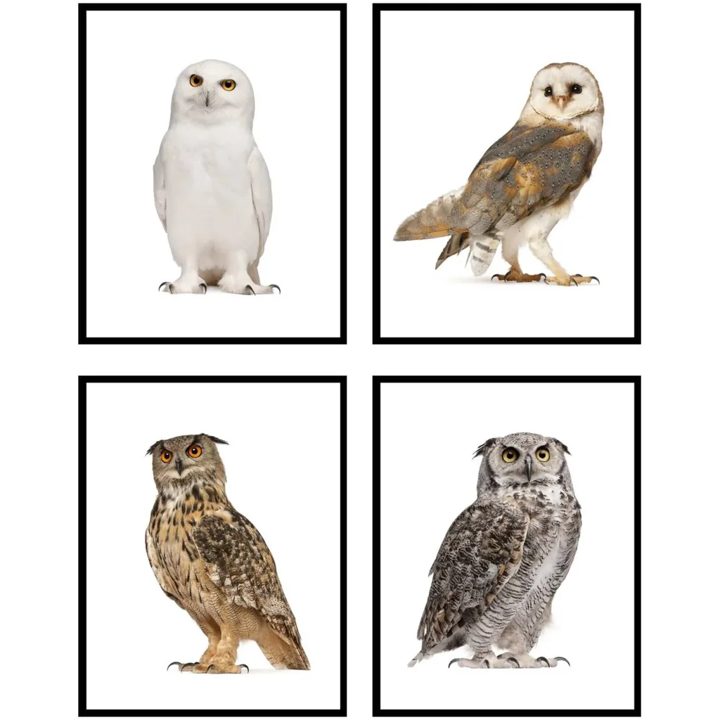 ALAYRA Owl Wall Art Owl Wall Decor - Set of 4 (8x10) Cute Owl Art Bird Art, Animal Poster Set Owl Print, Owl Animal Wall Art Owl Art Wall Decor - Bathroom Bedroom Owl Artwork - UNFRAMED 01