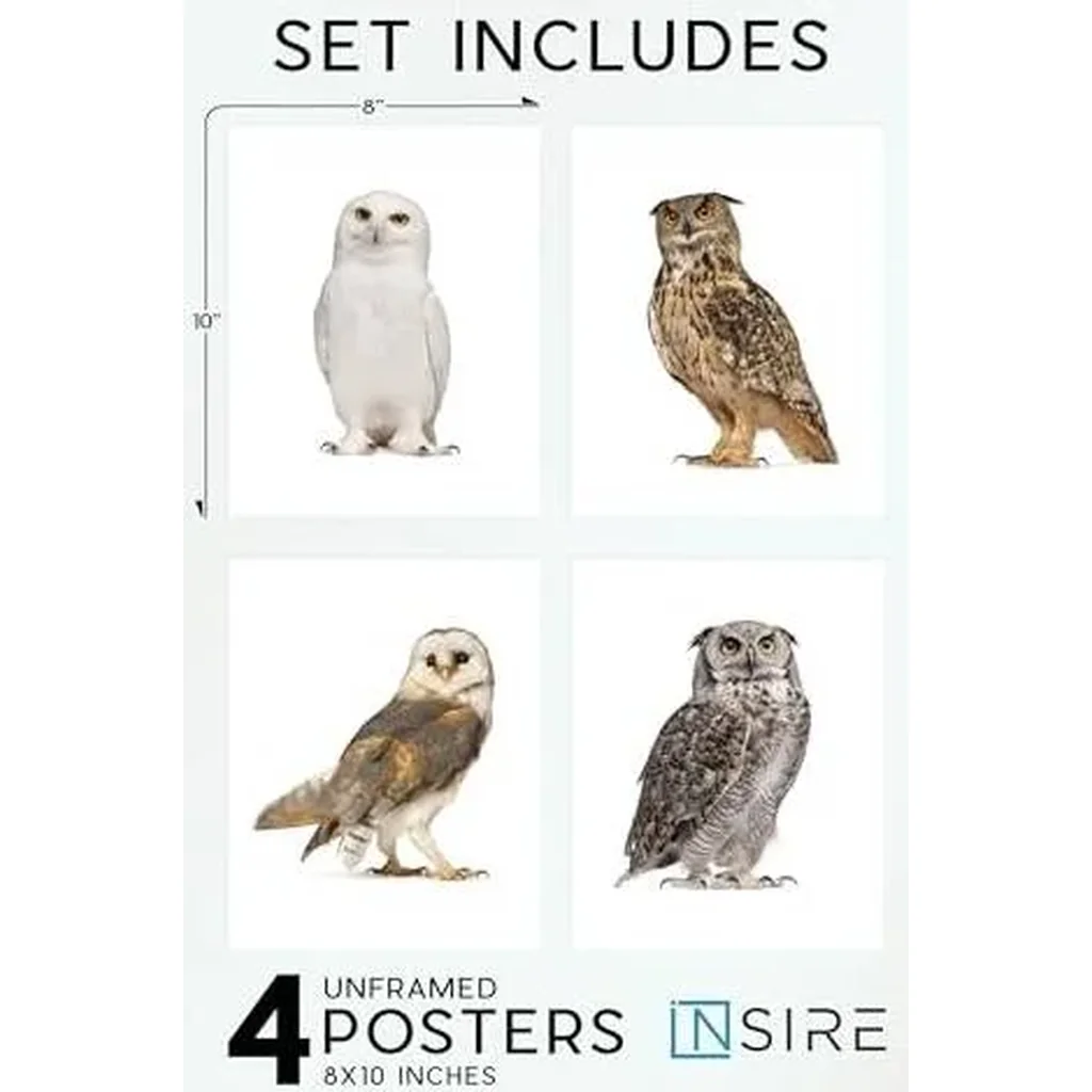 ALAYRA Owl Wall Art Owl Wall Decor - Set of 4 (8x10) Cute Owl Art Bird Art, Animal Poster Set Owl Print, Owl Animal Wall Art Owl Art Wall Decor - Bathroom Bedroom Owl Artwork - UNFRAMED 01 - Image 2