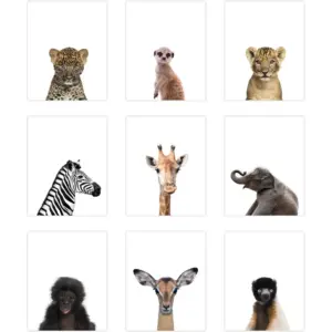 ALAYRA Palace Learning 9 Pack Safari Animal Poster Prints - Cute Baby Animal Wall Art - Nursery Room Decor (8" x 10", Unframed Card Stock) Double Sided 01