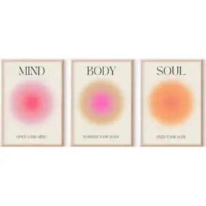 ALAYRA Positive Aura Posters for Room Aesthetic 3 Piece Colorful Aura Grainy Gradient Canvas Wall Art Spiritual Soul Body Mind Quote Print Painting Danish Pastel Home Wall Decor for Bedroom 16x24in Un