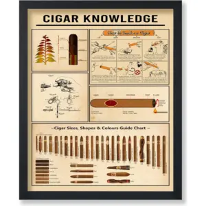 ALAYRA Poster Master Cigar Knowledge Poster - Cigar Sizes, Shapes & Colors Guide Print - Infographic Art - Cigarette Art - Educational Art - Typography Art - Great Living Room Decor - 8x10 UNFRAMED Wa