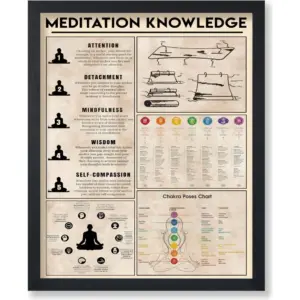 ALAYRA Poster Master Meditation Knowledge Poster - Chakra Poses Chart Print - Infographic Art - Yoga Art - Meditation Art - Educational Art - Typography Art - Yoga Studio Wall Decor - 8x10 UNFRAMED Wa