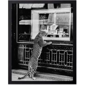 ALAYRA Poster Master Panther in the Jewelry Shop Poster - Cheetah Print - Fashion Art - Black & White Art - Photography Art - Trendy Art - Modern Art - Chic Bedroom or Office Decor - 8x10 UNFRAMED Wal