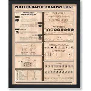 ALAYRA Poster Master Photographer Knowledge Poster - Photography Chart Print - Infographic Art - Camera Art - Educational Art - Typography Art - Great Studio or Living Room Decor - 8x10 UNFRAMED Wall