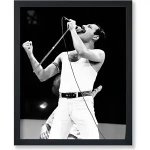 ALAYRA Poster Master Queen Poster - Freddie at Live Aid Print - Musician Art - Music Art - Singer Art - Black and White Art - Photography Art - Great Studio or Living Room Decor - 8x10 UNFRAMED Wall A