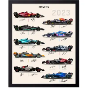 ALAYRA Poster Master Race Car Drivers Poster - Cars & Drivers Signatures Print - Sports Art - Car Racing Art - Gift for Him, Her & Car Enthusiast - Decor for Garage, Dorm or Office - 11x14 UNFRAMED Wa