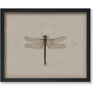 ALAYRA Poster Master Vintage Dragonfly Poster - Dark Academia Artwork - 8x10 Unframed Wall Art - Unique Wall Decor Gift for Home, Living Room, Kitchen, Office, Bedroom, Bathroom - Insect Scientific Pr