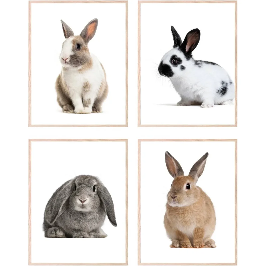 ALAYRA Rabbit Wall Art Bunny Decor - Set of 4 (8x10) Rabbit Animal Wall Art Bunny Art Rabbit Poster, Rabbit Decor For Bedroom Bathroom Nursery, Minimalist Rabbit Art Bunny Animal Print - UNFRAMED 01