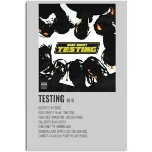 ALAYRA Rocky Poster Testing Album Poster Aesthetics room decor 16x24 inch 40.6x60.9cm Unframed 01