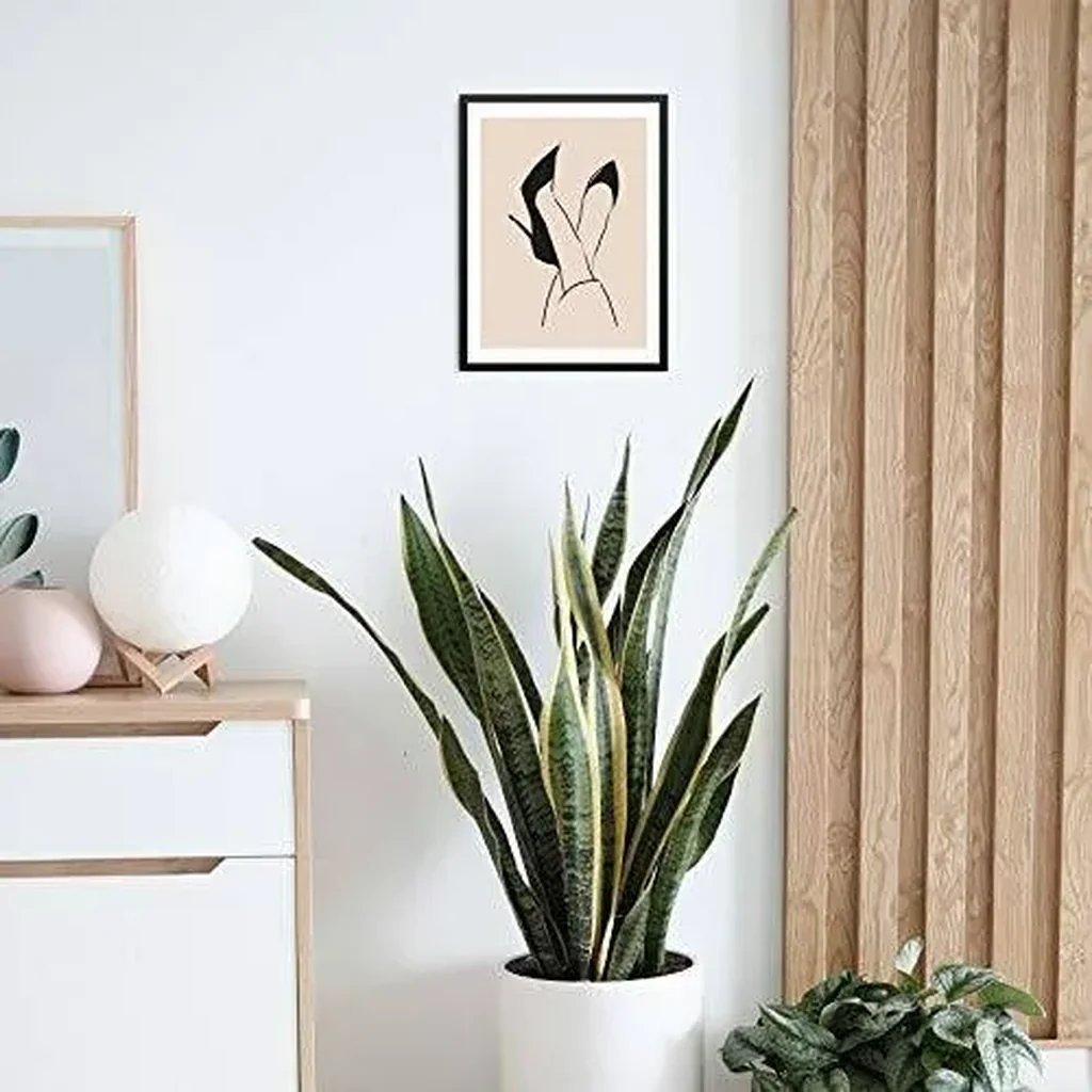ALAYRA Sincerely, Not Minimalist Line Drawing Art Print Black High Heels Fashion Sketch Wall Decor Poster 11"x14" UNFRAMED 01 - Image 6