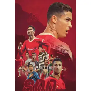 ALAYRA Soccer Star Poster Wall Art, Motivational Football Star Canvas Wall Art, Football Career 800 Ball Commemorative Poster for Office Home Decor, 16"x24"-Unframed 01