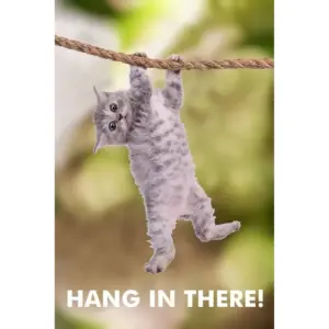 ALAYRA Targets Store Cat Hang in There 12x18 inch Rolled Poster 01