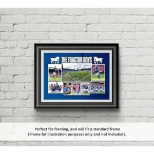 ALAYRA Town ' The Tractor Boys ' 2024/5 Team Football Players Multi Signed A4 Montage Photo Print Which Would Make A Great Gift For Any Fan. 01