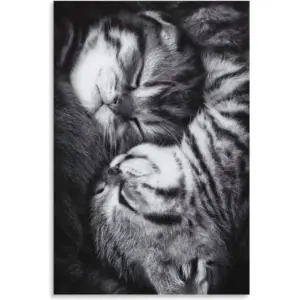 ALAYRA Two Little Lazy Cats Poster, Cute Cat Decor, Black & White Art, Warm Healing Pet Canvas Painting Modern Home Wall Living Room Bedroom Kids Room Poster 12x18 Inch (Unframed) 01